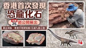 公開發現對商業機密有什麼影響？